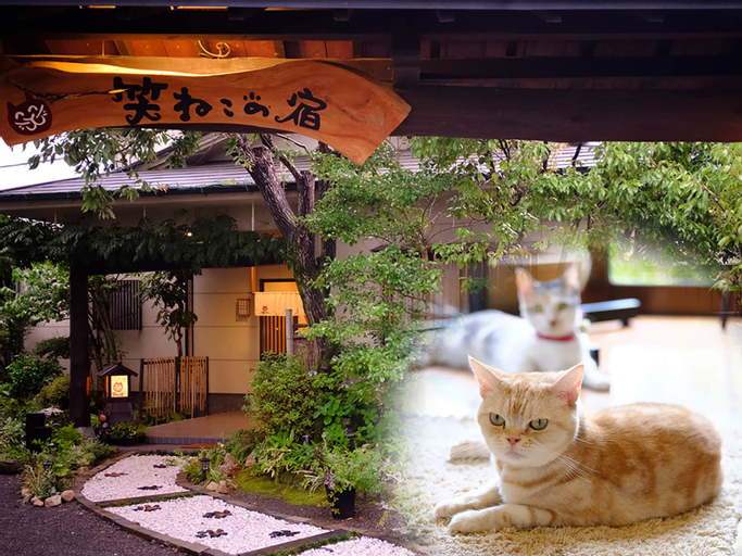 Yufuin Waraneko no Yado, Yufu