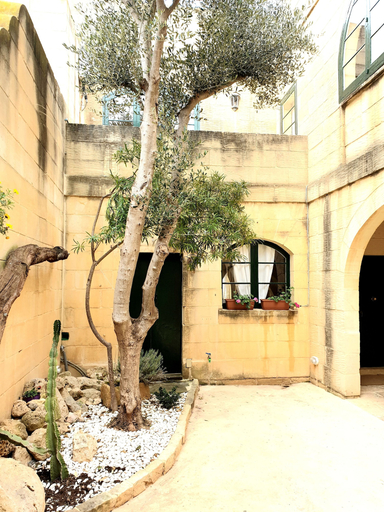 Exterior & Views 2, Panoramic Farmhouse