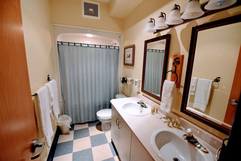 Bathroom 5, The Burleigh Falls Inn & Suites, Peterborough