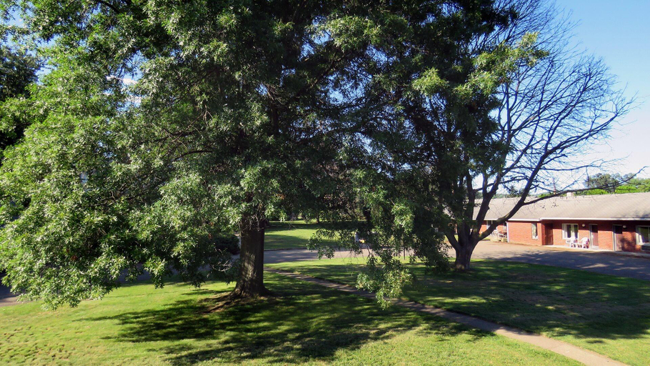 Exterior & Views, Gatehouse Motel, Steuben