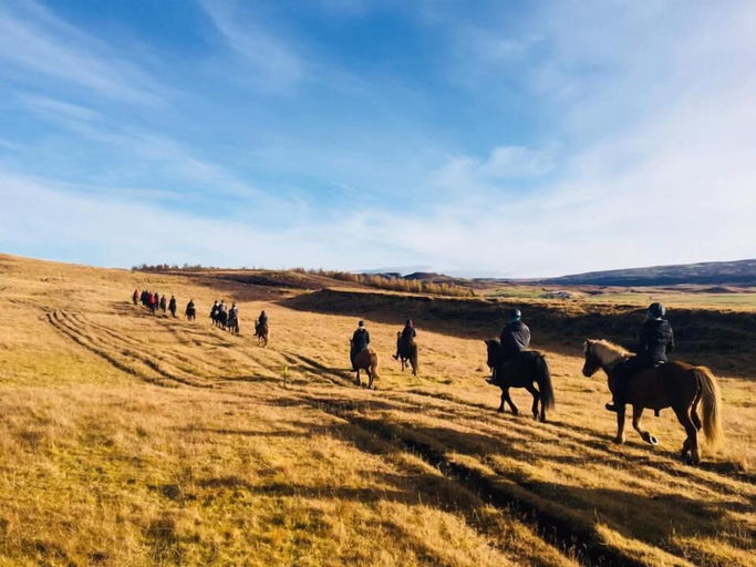 Others 4, Skálinn between Gullfoss and Geysir – Myrkholt Farm, Biskupstungnahreppur