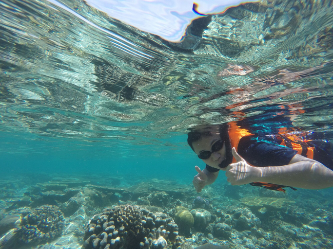 Others 5, EM Beach Maldives, Kaafu Atoll
