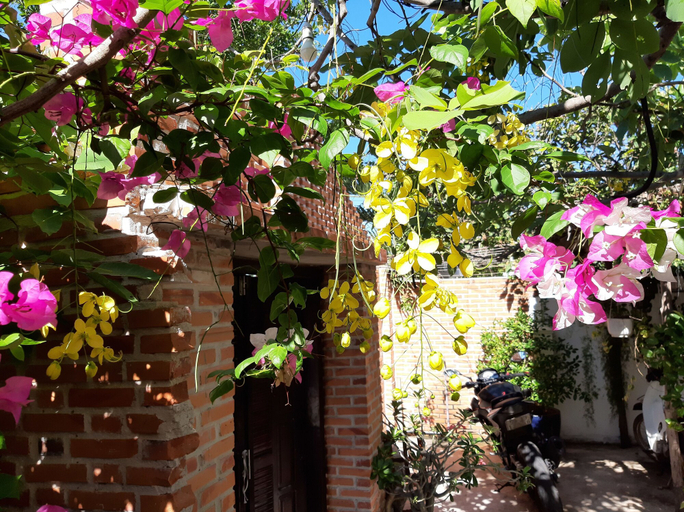 Others 5, Mui Ne Connect, Phan Thiết