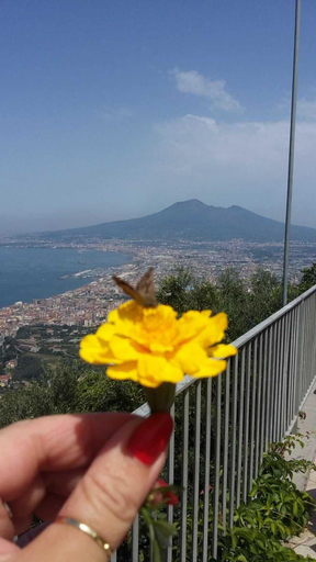 Exterior & Views 2, Buona Stella, Napoli