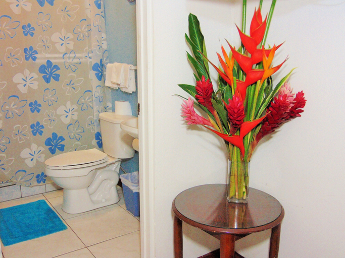 Bathroom 4, Casa Lima Bed & Breakfast, San José