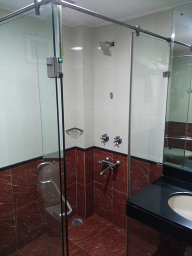 Bathroom 4, Divine Inn Hotel, Delhi