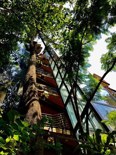 Exterior & Views 2, Golden Lotus, Bangalore