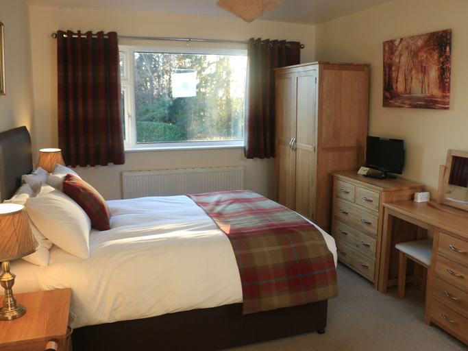 Bedroom 2, Dawyk Beech Guesthouse, Hampshire