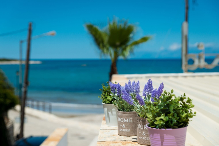 Others 3, Apartment Sofia, Ionian Islands