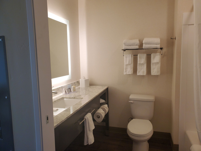 Bathroom 3, Simple Suites Boise Airport, Ada