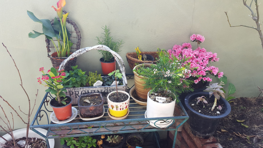 Others 5, Wellbeing Guesthouse, Jeju