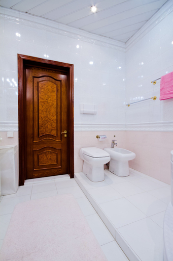Bathroom 3, Lakshmi Bol'shaya Sadovya, Northern