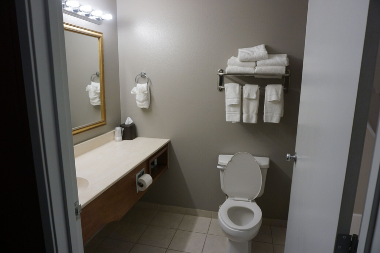 Bathroom 4, River Hills Hotel, Blue Earth