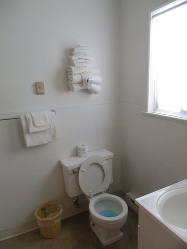 Bathroom 3, Bell's Melody Motel, Cheboygan