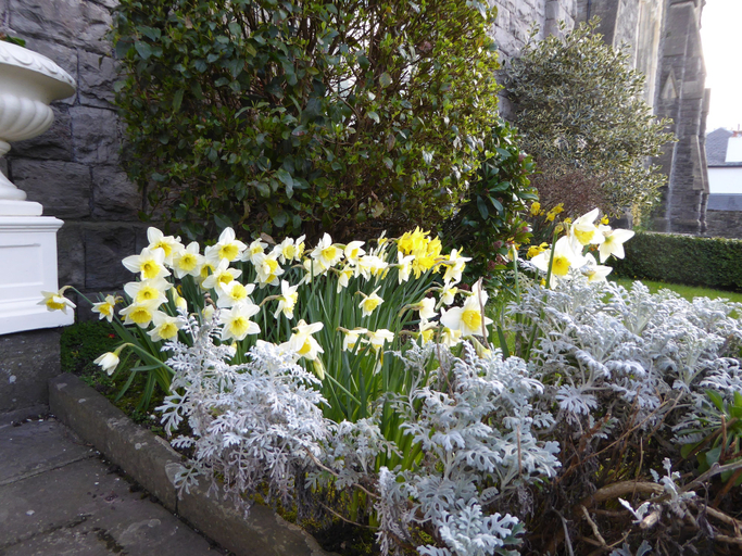 Others 5, The Grange Guest House, Powys