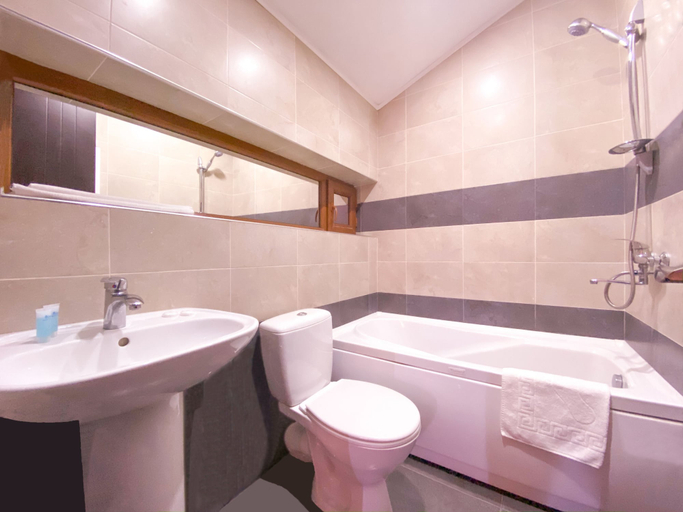 Bathroom 3, Villa Mtashi, Borjomi