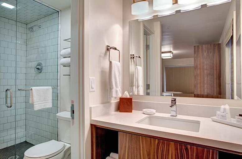 Bathroom 4, Hotel Durant, Pitkin