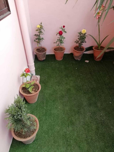 Public Area 2, Hotel Zamarrud Palace, Jaipur
