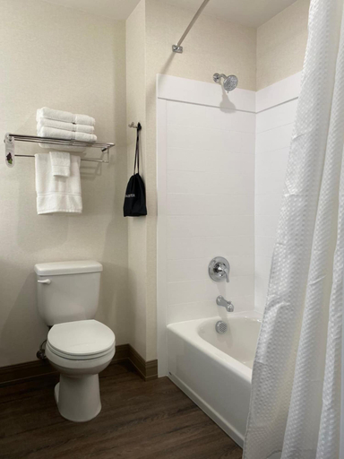 Bathroom 3, Simple Suites Boise Airport, Ada