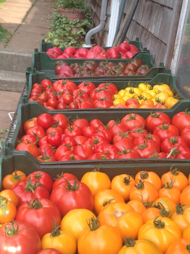 Food & Drinks 5, Nettles Farm, Whatcom