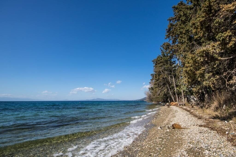 Beach, Villa Helios, Thessaly