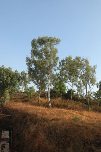 Exterior & Views 1, The Lavin Valley, Satara