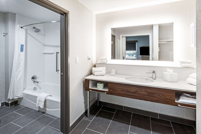 Bathroom 4, Hampton Inn & Suites Canyon, Randall
