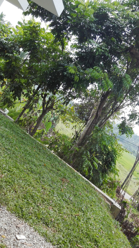 Others 5, Aroma Villa, Akmeemana