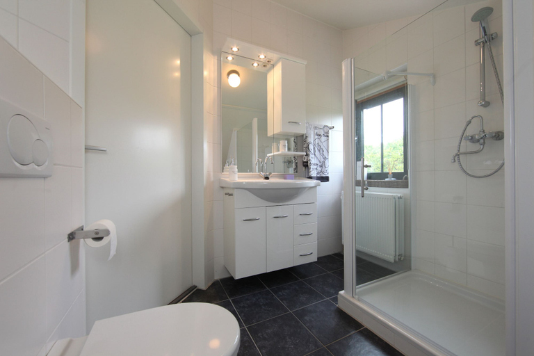Bathroom, Europarcs Koningshof, Bergen