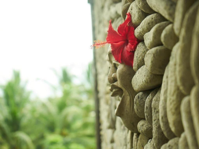 Public Area, Eden House Ubud, Gianyar
