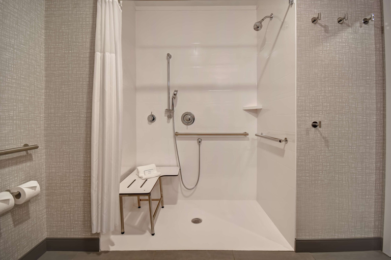 Bathroom 4, Hampton Inn Pleasant View, TN, Cheatham