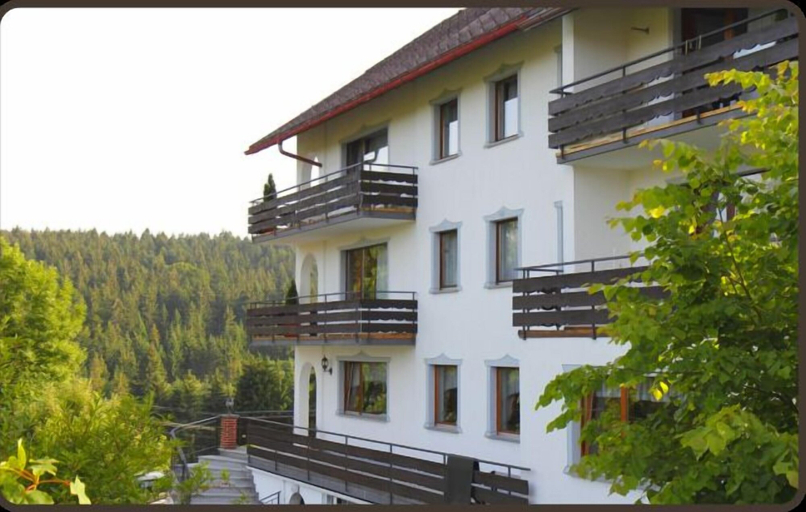 Exterior & Views 4, Parkhotel Waldlust, Waldshut