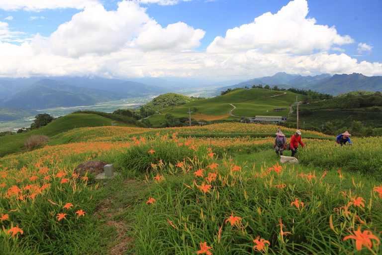 Others 4, Dreamland Hostel, Hualien
