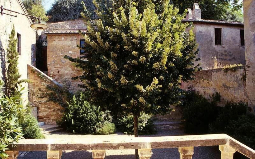 Exterior & Views 2, Borgo Lucignanello Bandini, Siena