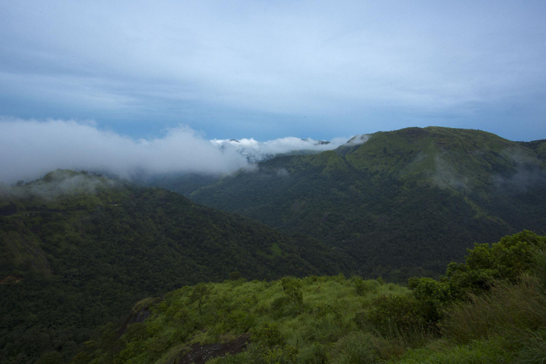 Others 5, Foggy Knolls Resort Vagamon, Idukki