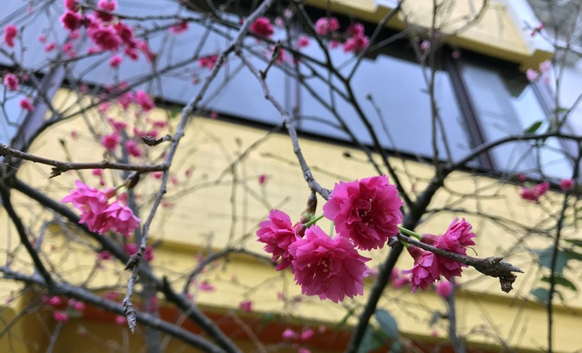 Exterior & Views 2, Little Sunshine B&B, Yilan