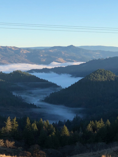 Others 4, Heartwood Mountain Sanctuary, Humboldt