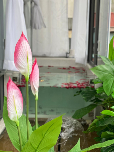 Sport & Beauty, HomestayCHAT*HTC2*InfinityTub2, Hoàn Kiếm