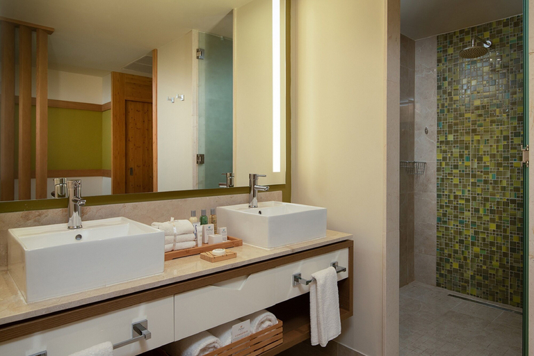 Bathroom 5, Dreams Onyx Resort & Spa All Inclusive, Salvaleon de Higuey