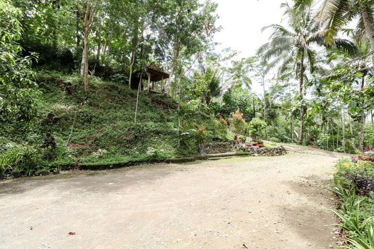 Others 5, Segajih Central Stay and Education, Kulon Progo
