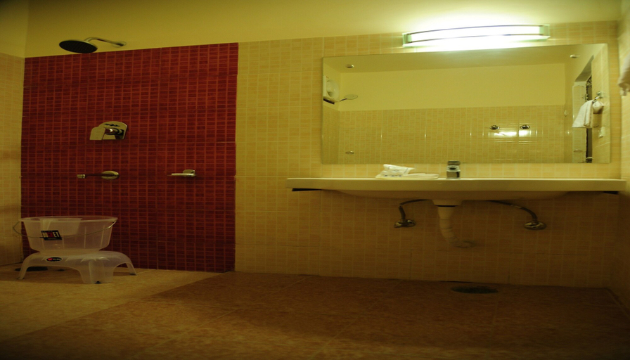 Bathroom 4, The Grand Sharan, Reasi