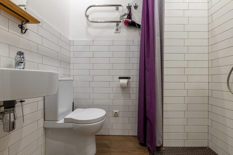 Bathroom 4, RentalSPb 4 City bridge, Sankt-Peterburg gorsovet