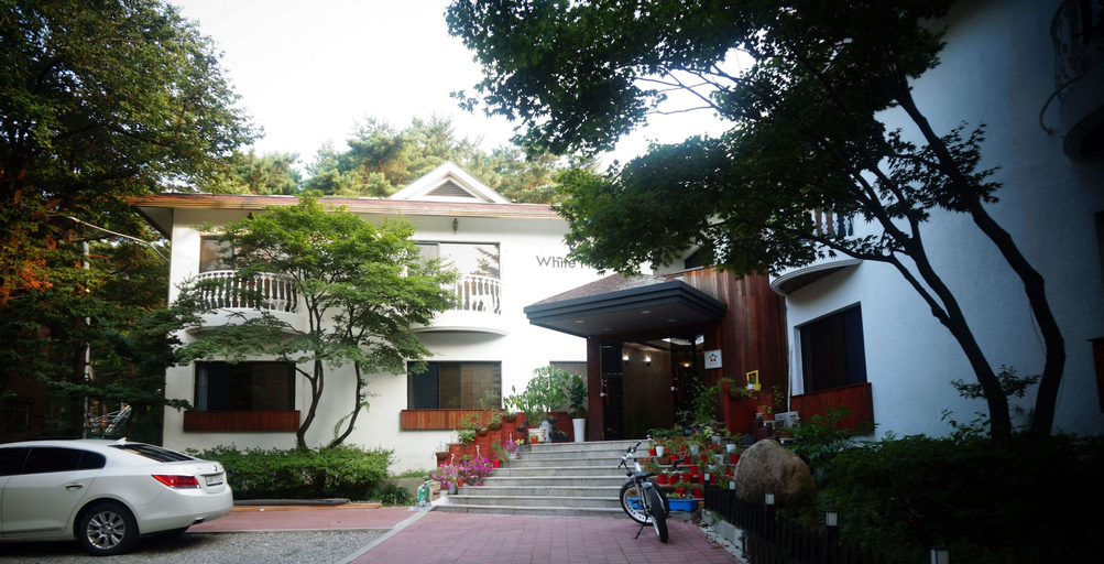 White House, Sokcho