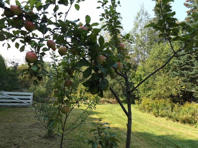 Others 5, Le Domaine de l'Étang, La Nouvelle-Beauce