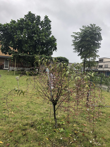 Others 4, 512 Huts Homestay, Yilan