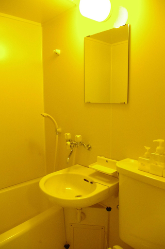 Bathroom 5, Forest Resort Cosmos, Fujikawaguchiko
