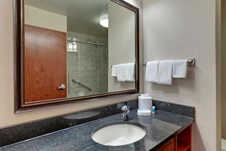 Bathroom 4, Drury Plaza Hotel Nashville Franklin, Williamson