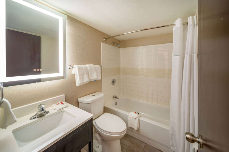 Bathroom 4, Baymont by Wyndham Laredo, Webb