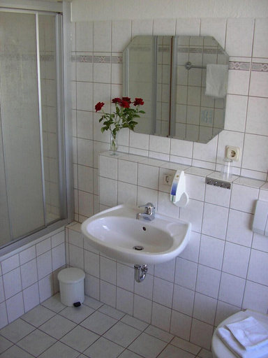 Bathroom, Hotel Goldene Sonne, Erzgebirgskreis