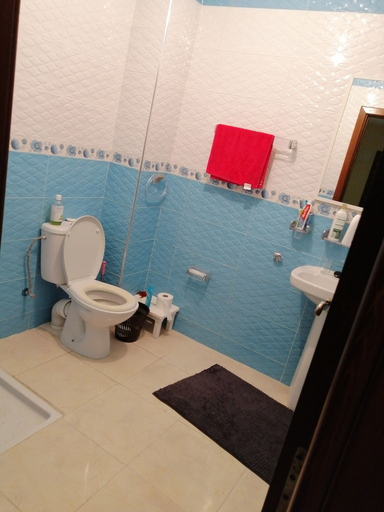 Bathroom 5, Mohammed V Airport Home, Casablanca
